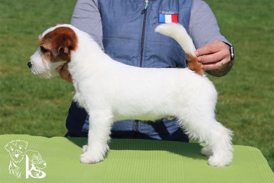 Of course i am russtyle?s du Vallon de l'Alba